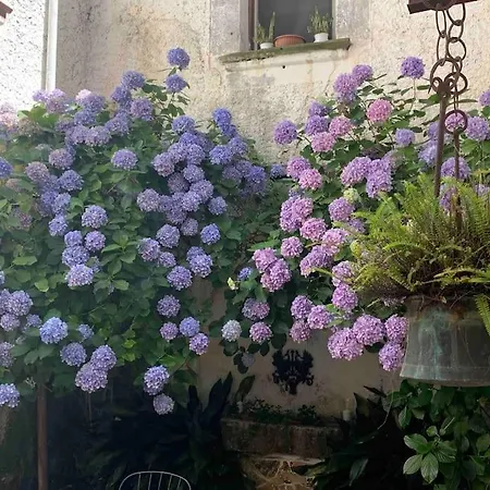 La Dimora Di Adelaide